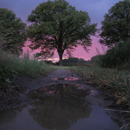 Hof-landart Pepelow