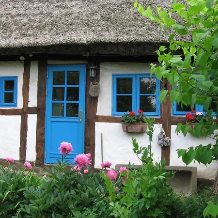 Hof-landart * Pepelow